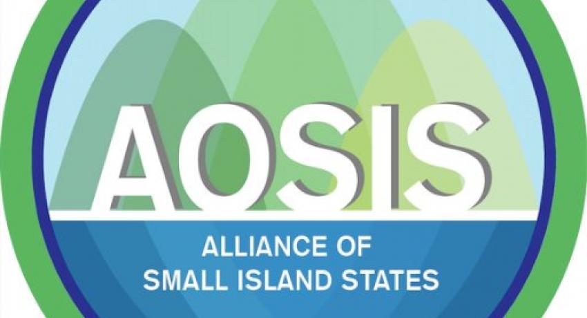 AOSIS Fellowship Programme