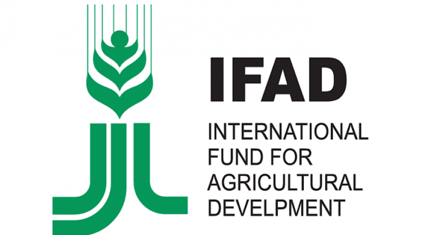 ifad